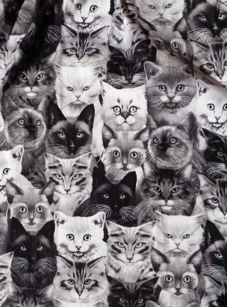 Black & White Cat Faces