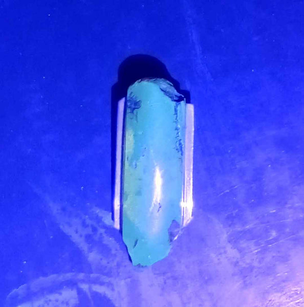 Baltic Amber Under Black Light
