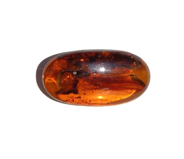 Vintage Honey Amber Brooch w/ Fossil Inclusions Pin