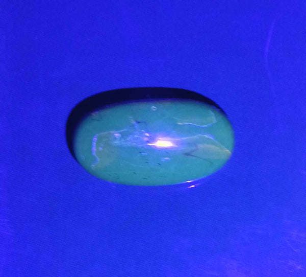 Honey Amber Pin Under UV Light