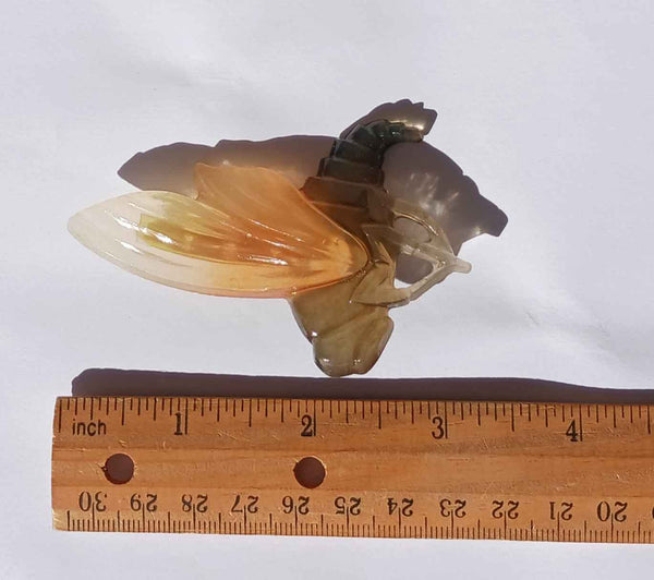 Vintage Celluloid Insect Pin